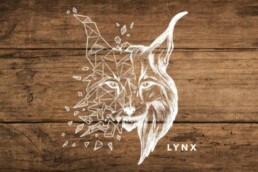 lynxboards-lynxvan-enn100-grafikdesign-beitragsbild
