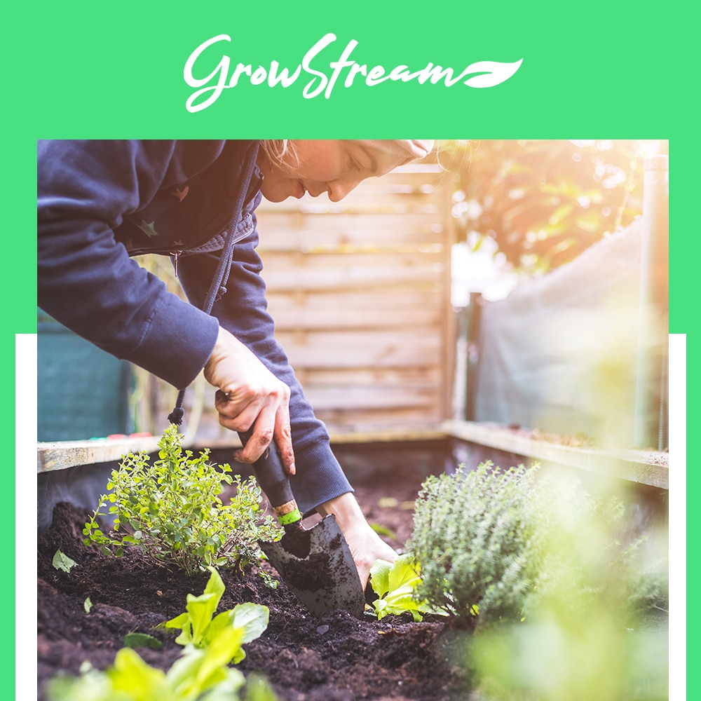 Growstream Mockup