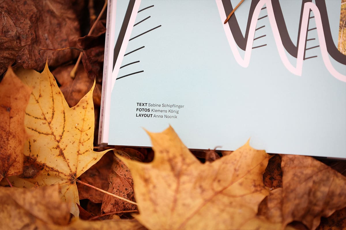 LINES Magazin Layout von ENN100 Grafikdesign