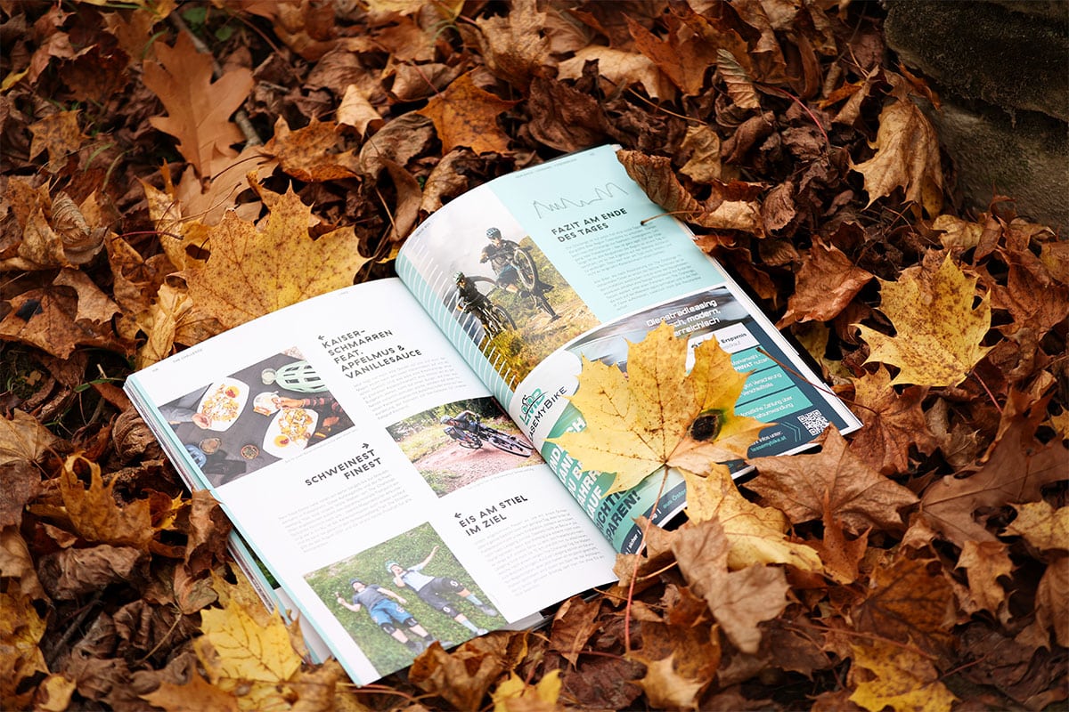 LINES Magazin Layout von ENN100 Grafikdesign