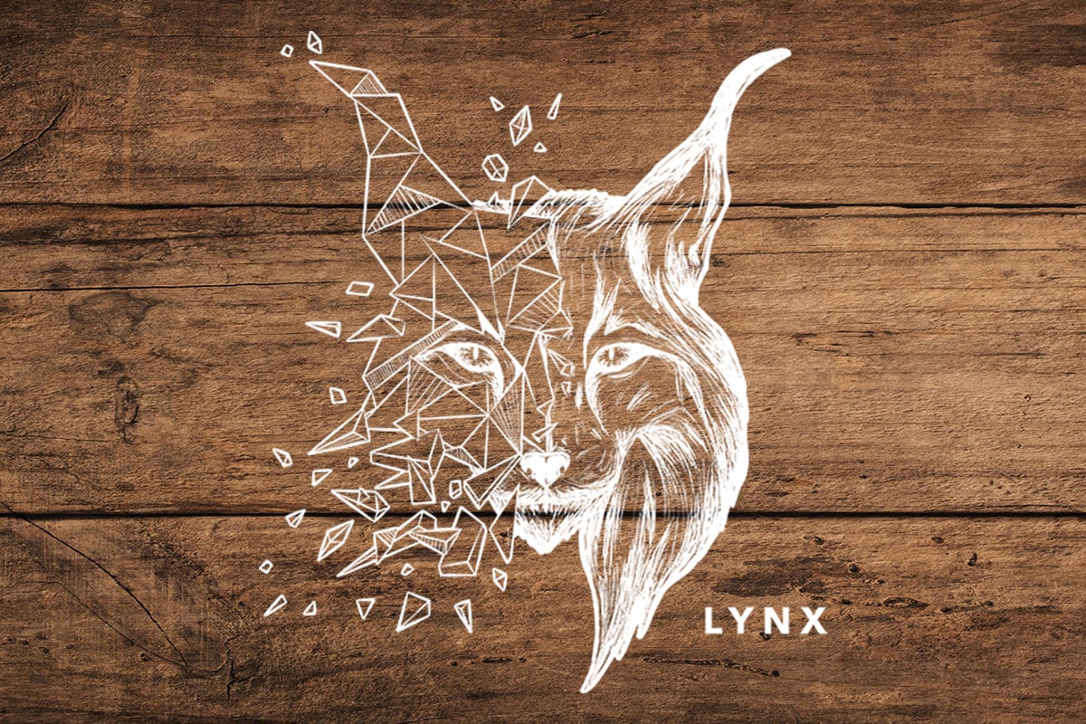 Lynxboard Beitragsbild