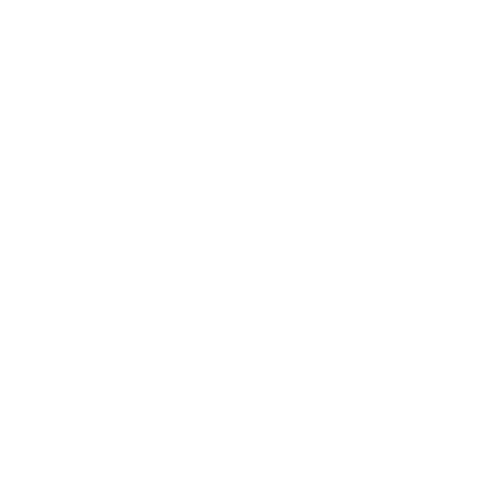 Lynxboard Logo weiss