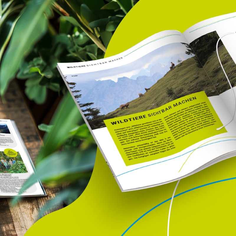 Naturpark Dobratsch Sommerprogramm
