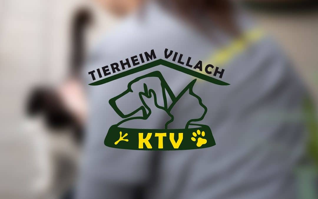 Tierheim Villach