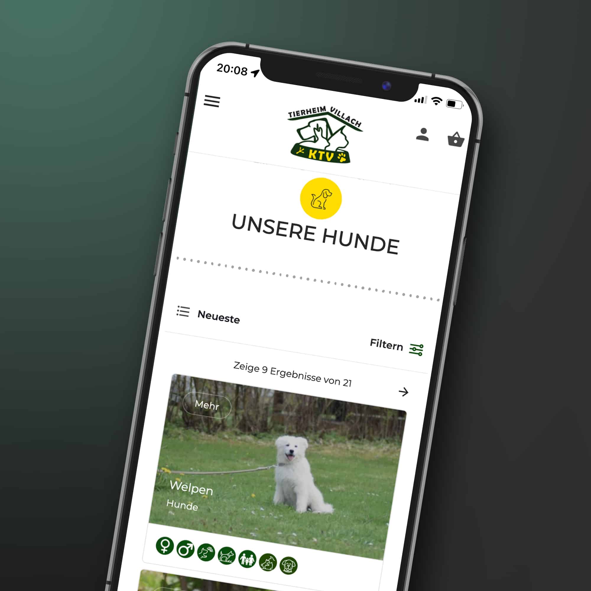 Tierheim Villach Webdesign by ENN100