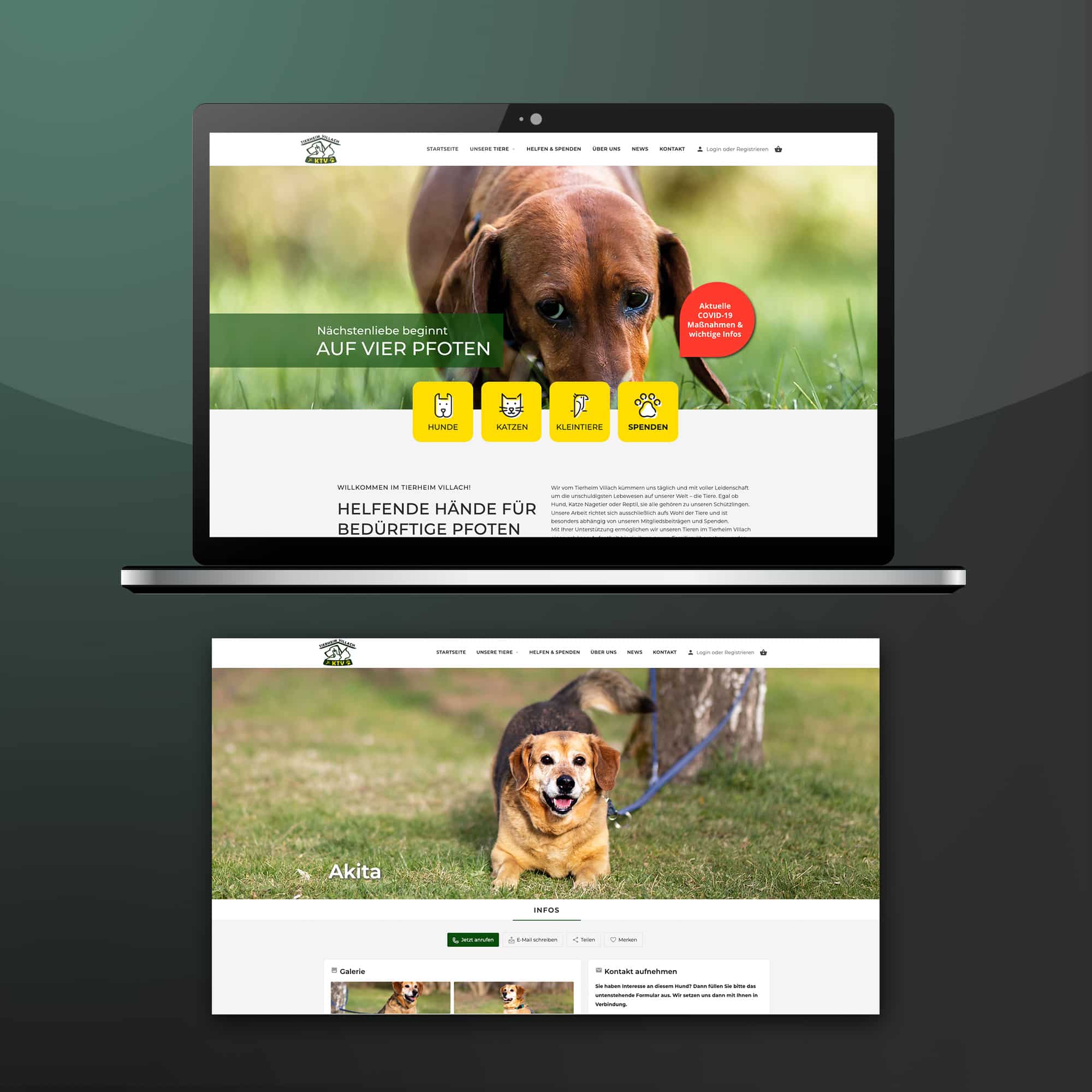 Tierheim Villach Webdesign by ENN100
